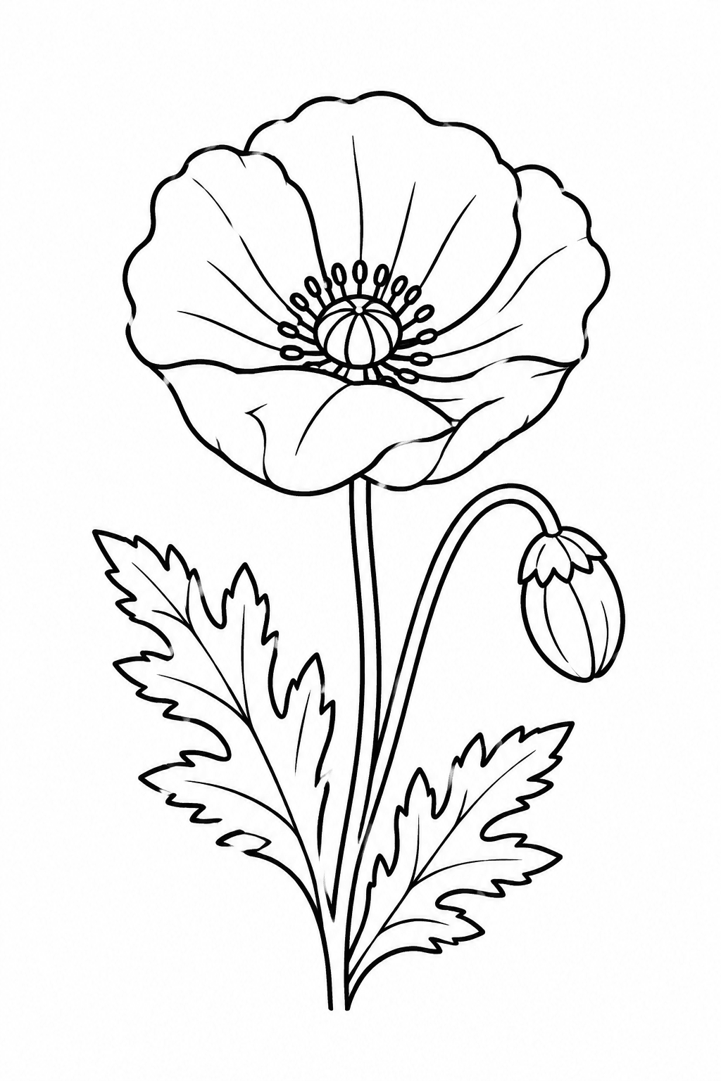 Mohnblume Ausmalbild 1
