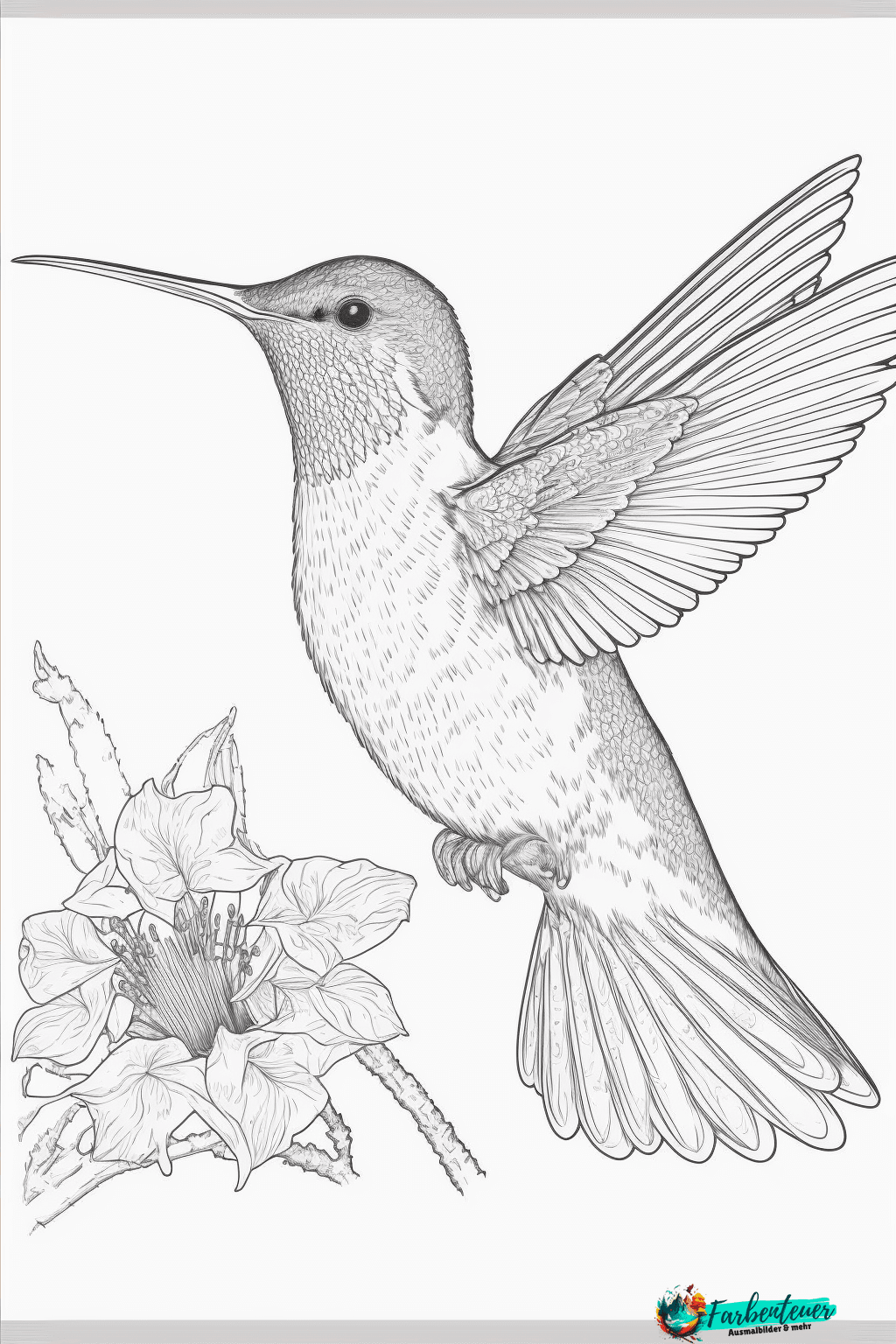 Ausmalbild Hummingbird