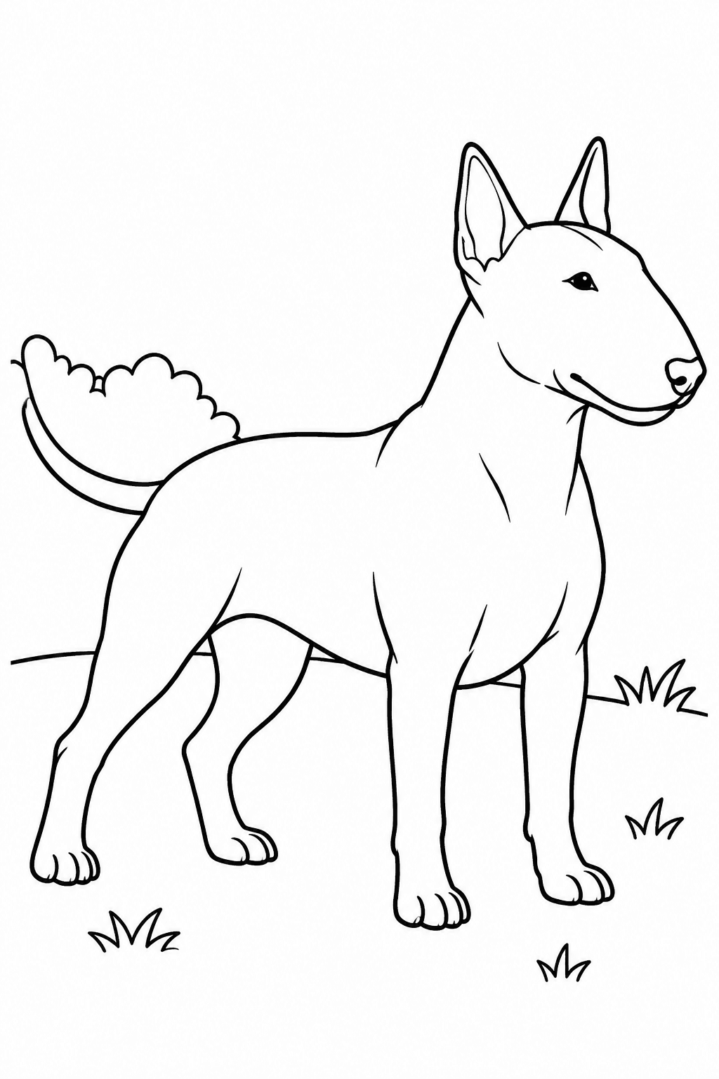 Ein Bull Terrier steht seitlich mit länglicher Kopfform und aufrechten Ohren – Bull Terrier Ausmalbild